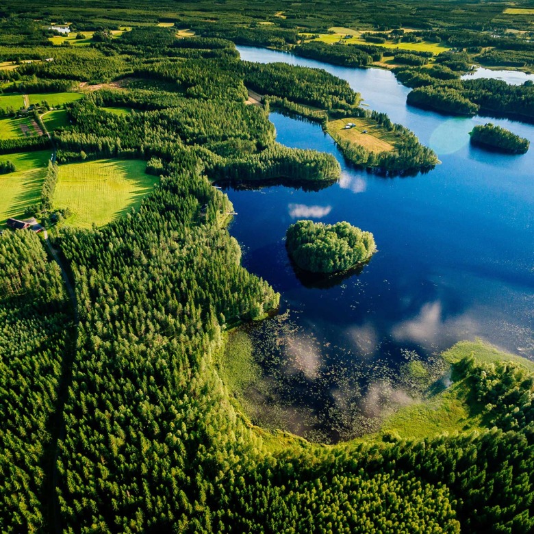 Skills That You Can Learn In The Real Estate Market